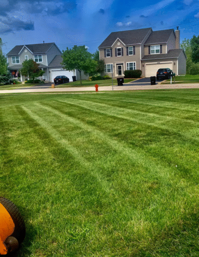 Freshly mowed lawn with striped grass by Weadickbros Lawn & Landscape